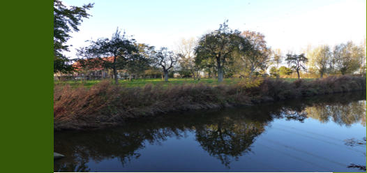 Omgeving Bushoeve, foto Anke Verduijn