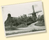 Molen Grenadier destijds (1877-1958) nabij Wolfhoekseweg/Station